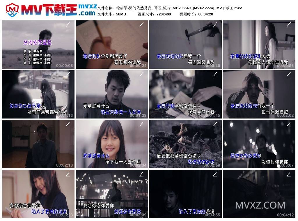 徐新军-哭的依然是我_国语_流行_MB203540